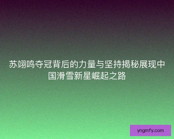 苏翊鸣夺冠背后的力量与坚持揭秘展现中国滑雪新星崛起之路