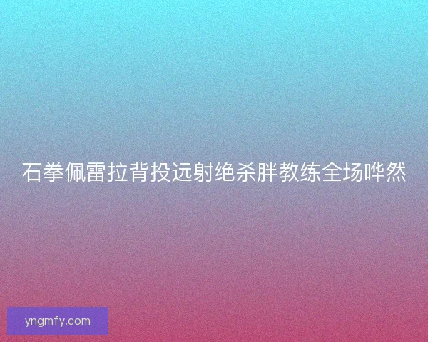 石拳佩雷拉背投远射绝杀胖教练全场哗然