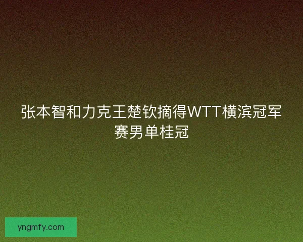 张本智和力克王楚钦摘得WTT横滨冠军赛男单桂冠 张本智和力克王楚钦摘得WTT横滨冠军赛男单桂冠